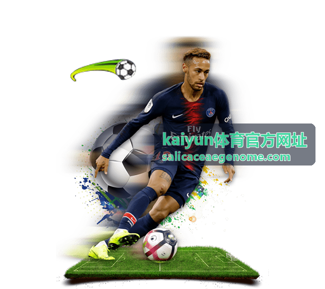 kaiyun体育官方网址会员权益对比与开通方式核对