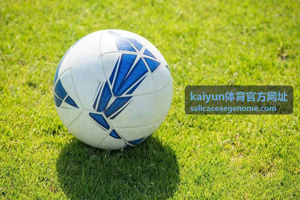 kaiyun体育官方网址玩法解读：比赛节奏判断依据配图